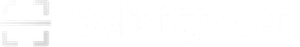 SolidityScan Logo