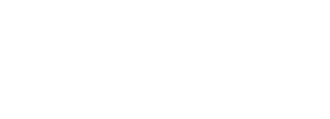 DataArt