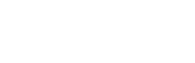 Vidma Security