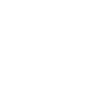 Viator Group